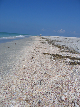 Bahia Honda State Park