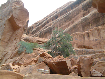 Wall Arch after collapse