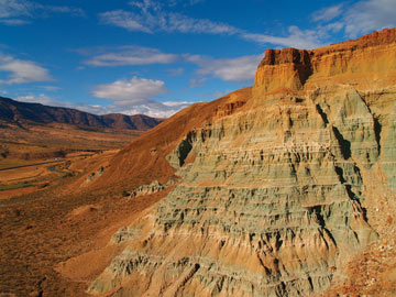 Fossil-rich blue-green claystone