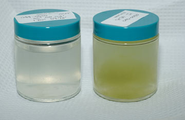 Seawater samples