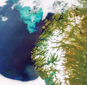Natural phytoplankton bloom off the coast of Norway