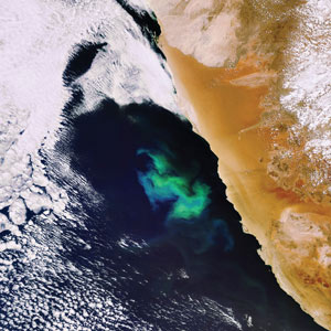 Natural phytoplankton bloom of the coast of Namibia