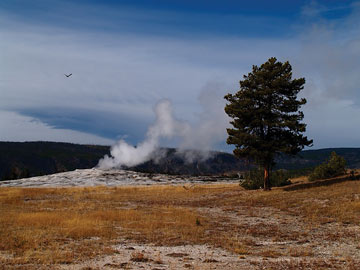 Old Faithful not erupting