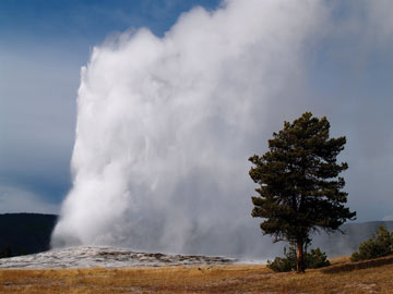 Old Faithful erupting