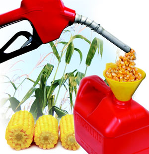 "Funneling" corn into a gas can