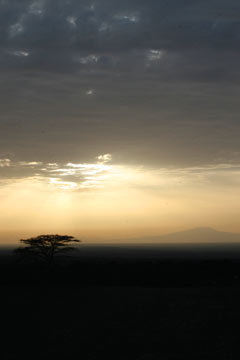 African savanna