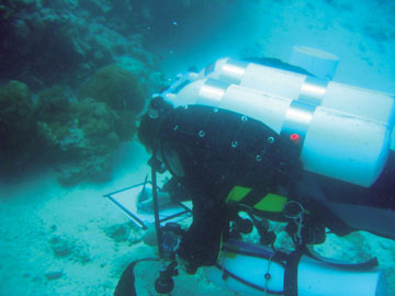 A diver off the Farasan Islands in the Red Sea