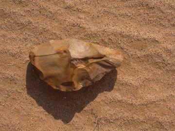 Stone tool