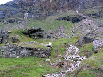 Pyrite weathering on cliff face