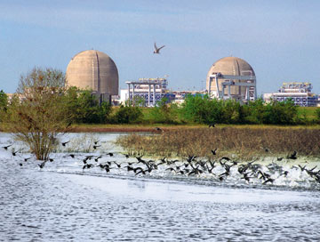 South Texas Project nuclear power plant