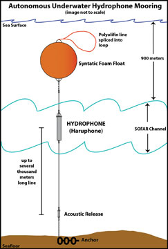 A diagram of a NOAA hydrophone