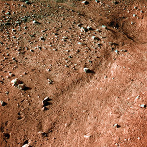 The ground near the Phoenix lander