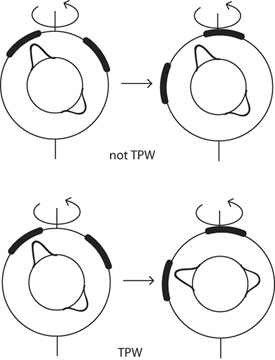 Graphic describing true polar wander