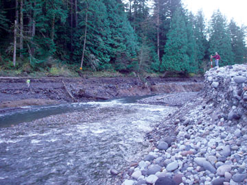 The free-flowing Sandy River