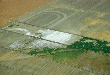 Severe salinization of fields in California