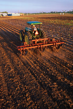 Farming in Texas