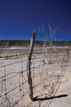 Agricultural land in Australia