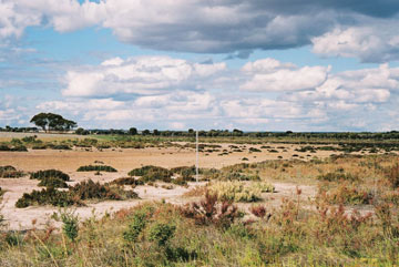 Western Australian cropland