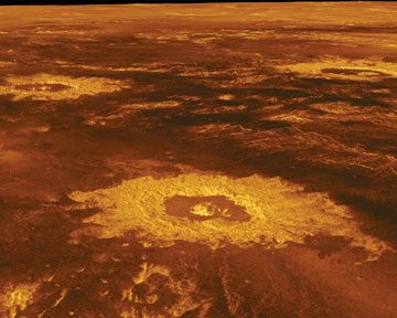 Impact craters on Venus
