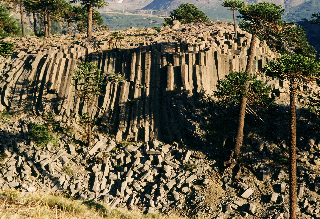 Basalt columns in Caviahue valley
