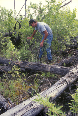 performing fire research