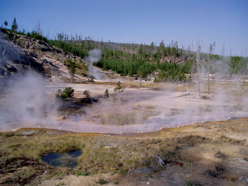 Hydrothermal activity at Yellowstone