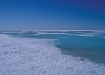 Melt ponds on Arctic ice