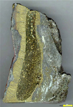 Sample of a polymetallic sulfide deposit