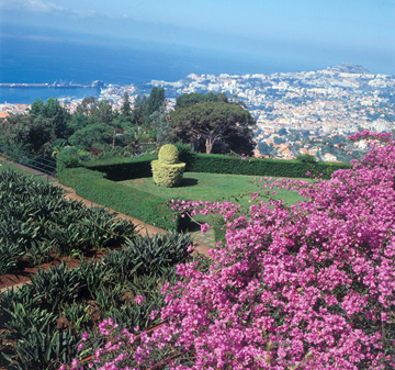 Funchal, Madeira, from the botanical gardens