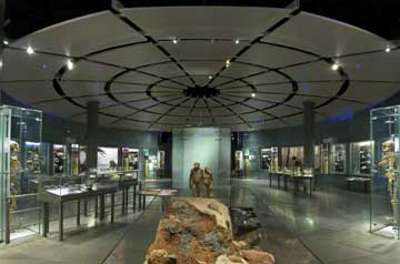 Photograph of History of Human Evolution section of the new Anne and Bernard Spitzer Hall of Human Origins at the American Museum of Natural History