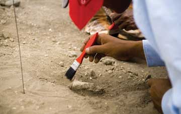 Photograph of Ethiopian hominin research